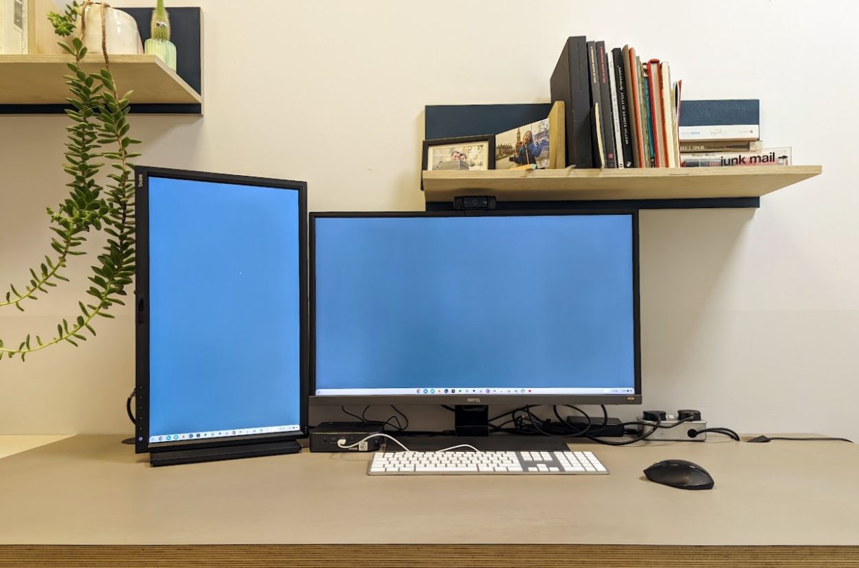 Two monitors (one landscape, one portrait) on a neat, modern desk with plywood bookshelves and a plant.